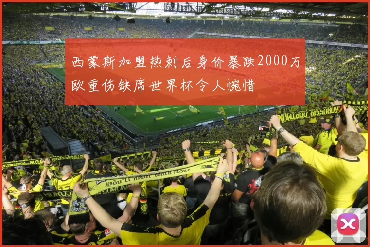 西蒙斯加盟热刺后身价暴跌2000万欧重伤缺席世界杯令人惋惜