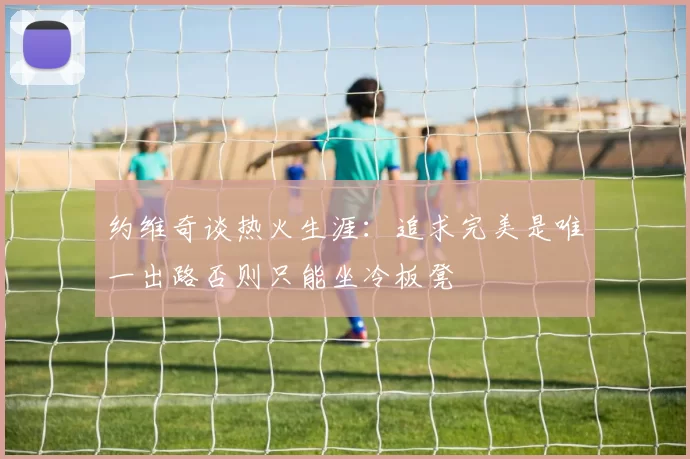 约维奇谈热火生涯：追求完美是唯一出路否则只能坐冷板凳