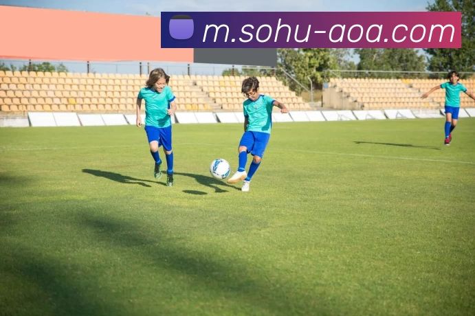 AI Risk Control
